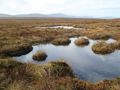 Irish Peat Bogs