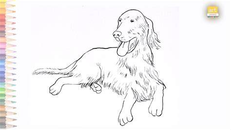 Irish setter Irish setter, Dog artwork, Dogs of the world