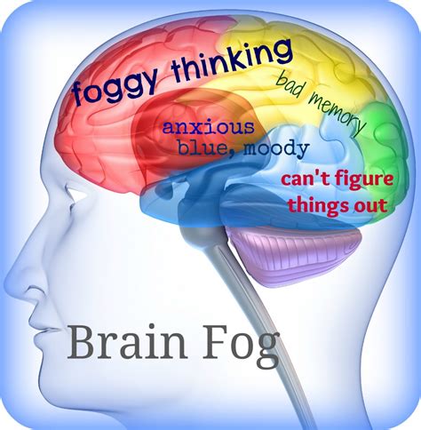 Iron Deficiency Brain Fog