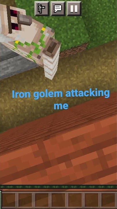 Iron Golem Attacking Me
