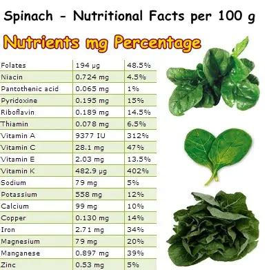 Iron In Serving Of Spinach