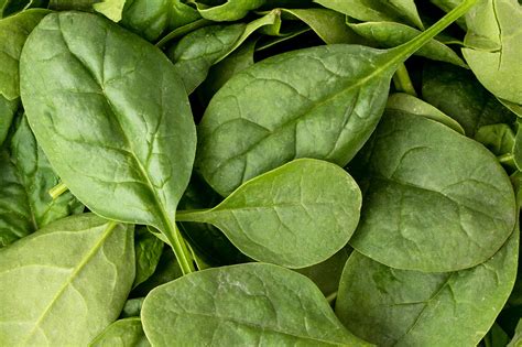 Iron Intake Spinach
