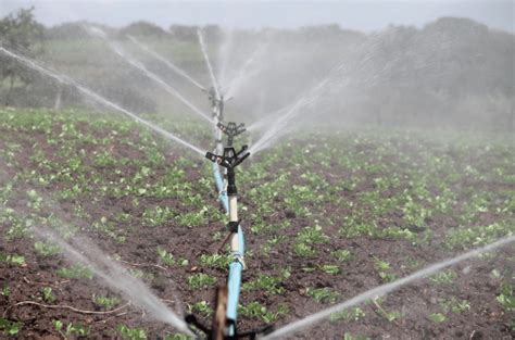vyazma.info:irrigation control system