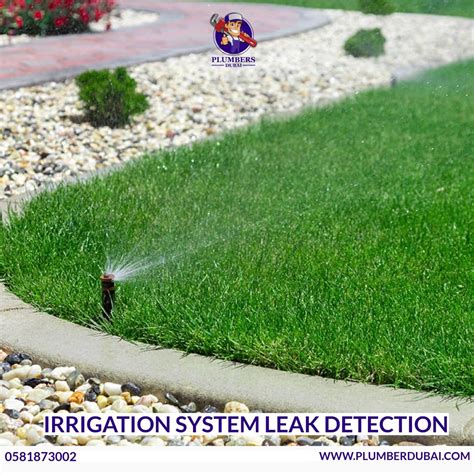 irrigation detection leak system