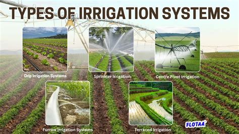 Irrigation Examples