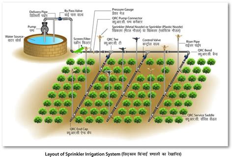 Irrigation Pipeline Design