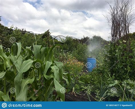 Irrigation System For Allotment