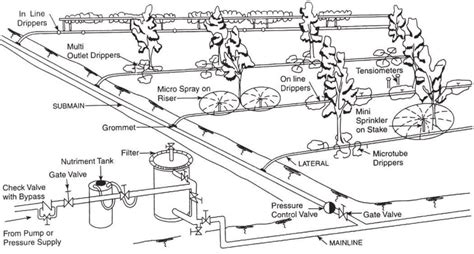 Irrigation System Sketch