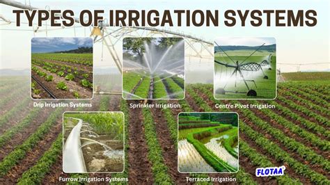 Irrigation System Word Definition