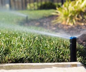 Irrigation Systems for Lawns