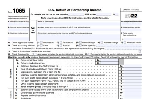 irs form 1065 partnership return instructions