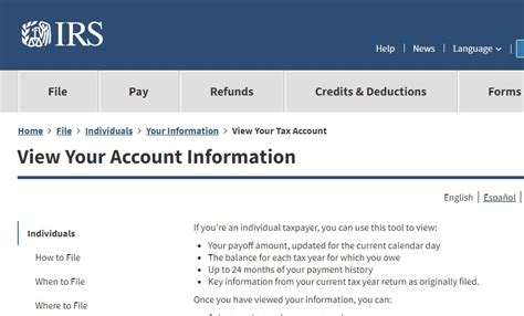 irs view your account balance