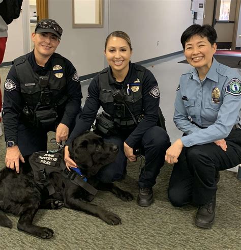 irvine police activity