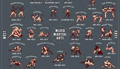 The 25+ best Martial arts moves ideas on Pinterest