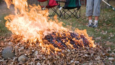 Is it safe to burn leaves? SERVPRO of Worcester