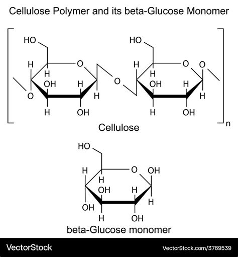 Molecular monomer models of a cellulose and b hemicellulose. c