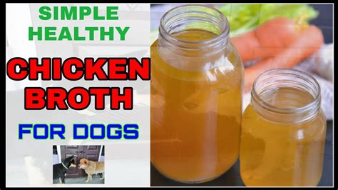 Is Chicken Stock Good For Dogs?