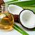 is coconut oil a seed oil