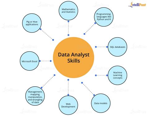 Data Analyst Career Path LSU Online