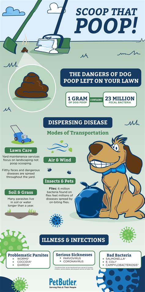 Is Dog Poop A Health Hazard