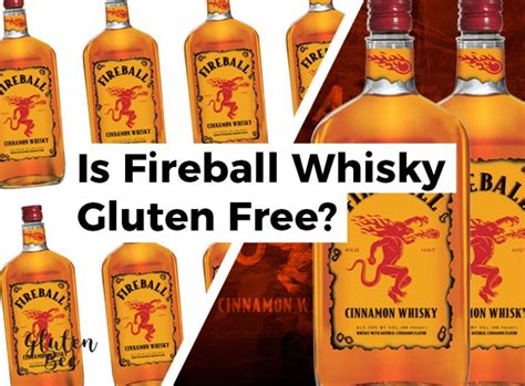 is fireball whiskey gluten free Snorkelling Vlog Fonction