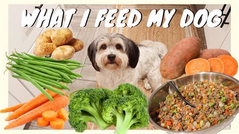 Is For Health A Good Dog Food