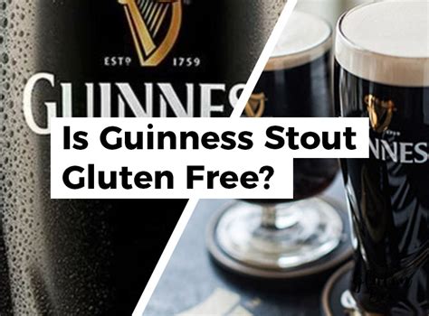 Is Guinness Gluten Free? All You Need To Know! Fearless Dining