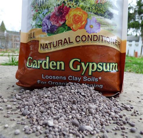 Popular Is Gypsum Safe For Vegetable Garden For Small Space