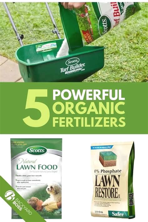 Homemade Fertilizers For Lawns How To Make Your Own Lawn Fertilizer