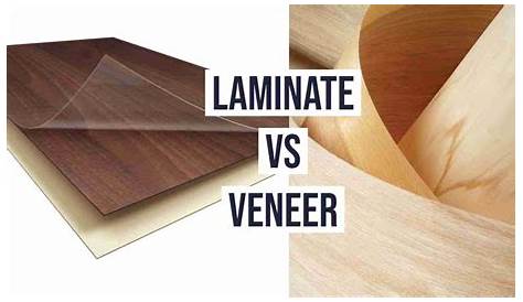 Best Interior Designer Of Laminates Vs Veneers Projects Decormyplace