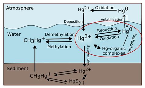 Oxidizing Agent Definition and Examples