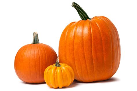 Is Pumpkin a Vegetable, Fruit, or Plant?