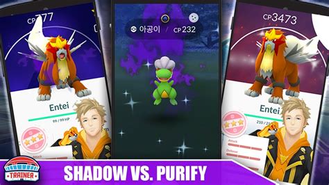 How to Purify Shadow Pokemon in Pokemon Go SegmentNext