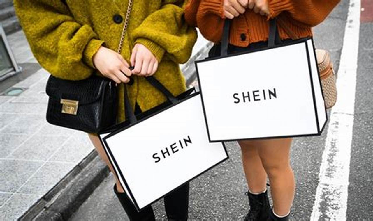 Is Shein's Closure in 2024 a Reality?
