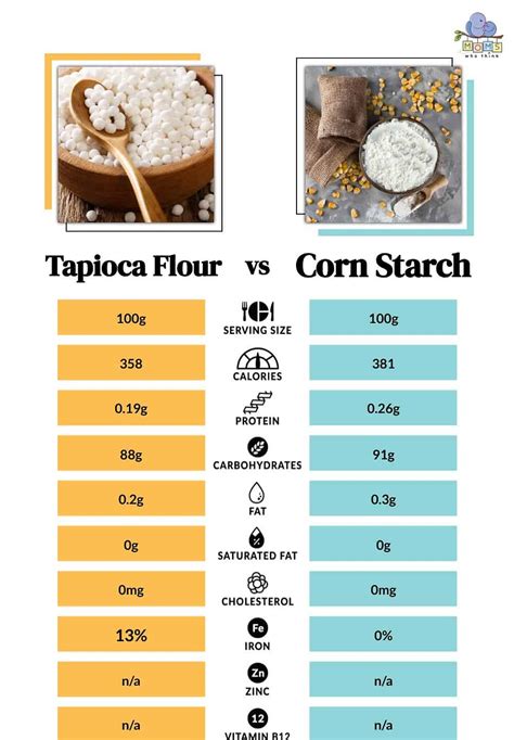 Tapioca Flour by Gourmet Imports