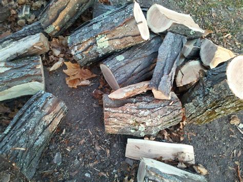 Ash Firewood Woodchuck Firewood