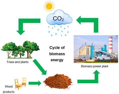 Is Wood And Biomass Renewable Or Nonrenewable?