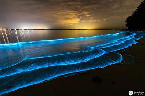 is a bioluminescent beach