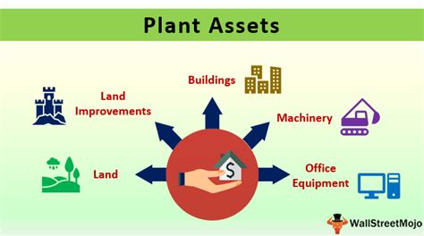 is a building a plant asset