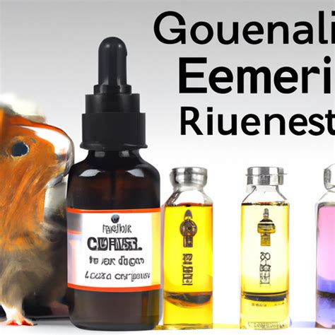 Is A Diffuser Safe For Guinea Pigs