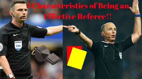 is a referee the same as a reference