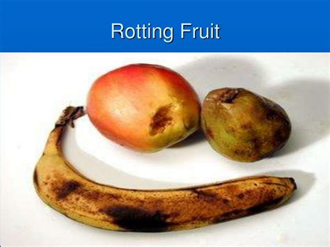 is a rotting fruit a chemical change