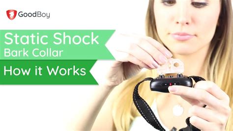 Is A Static Collar The Same As A Shock Collar