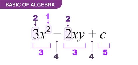is algebra basic math