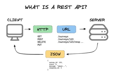 is api backend or frontend