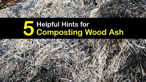 Is Ash Good For Compost