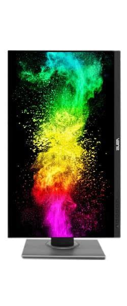 is asus proart good for programming