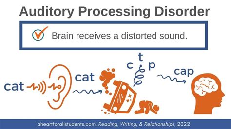 is auditory processing disorder related to adhd