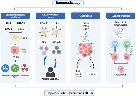 is avastin an immunotherapy drug