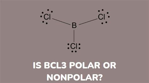 is bcl3 polar covalent